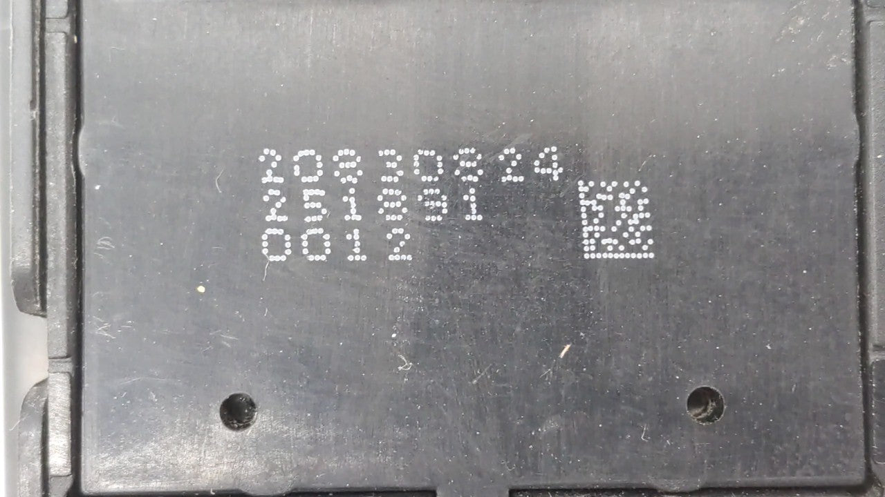 Pichwai Art : A stunning 400 years old art form, depicting the Leelas of Shrinathji